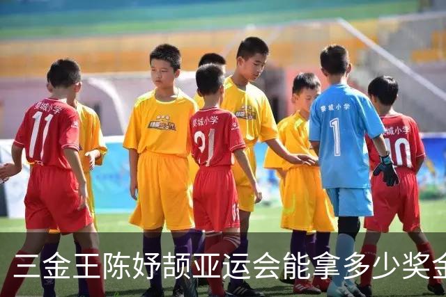 三金王陈妤颉亚运会能拿多少奖金？浙江省内，3枚就是30万元左右，国家体育总局的话大概在5-12万元左右