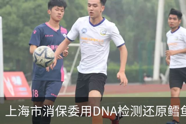 上海市消保委用DNA检测还原鳕鱼营养真相