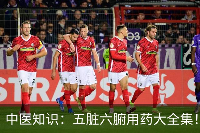 中医知识：五脏六腑用药大全集！！！