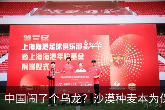 中国闹了个乌龙？沙漠种麦本为保粮仓，谁料金黄麦浪竟成治沙神器