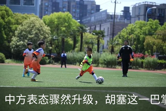 中方表态骤然升级，胡塞这一巴掌，打的不仅仅是沙特的脸面？