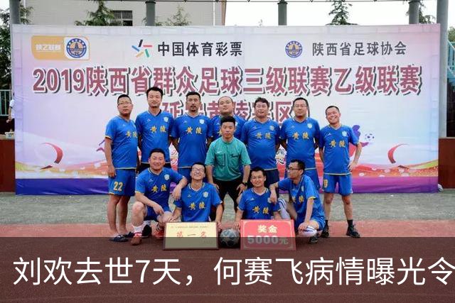 刘欢去世7天，何赛飞病情曝光令人揪心，与恩师之子离婚真相大白