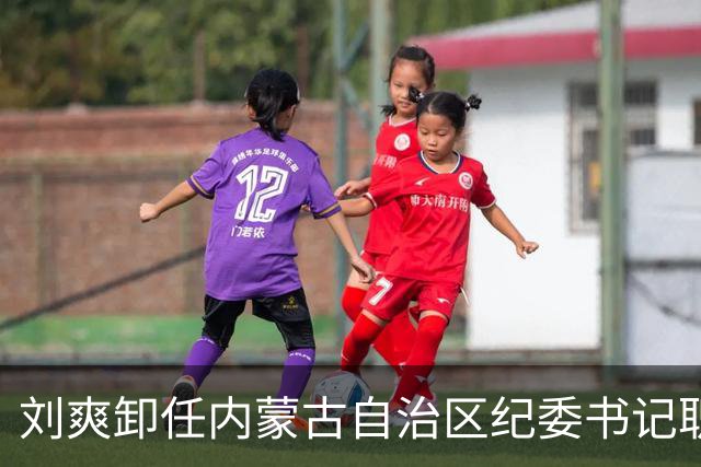 刘爽卸任内蒙古自治区纪委书记职务；曾任中央纪委国家监委组织部部长、河北省纪委书记、省监委主任等职