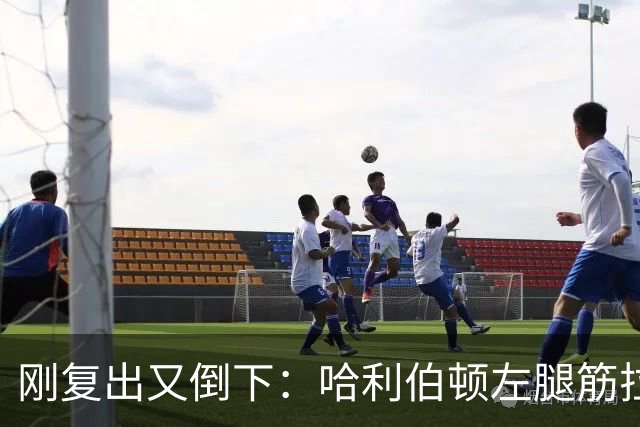 刚复出又倒下：哈利伯顿左腿筋拉伤，至少缺阵两周
