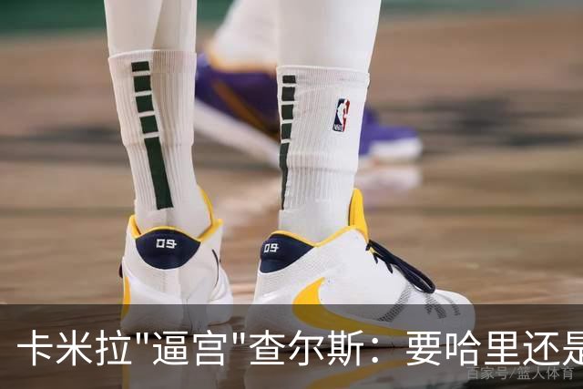 卡米拉"逼宫"查尔斯：要哈里还是要我