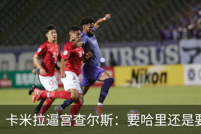 卡米拉"逼宫"查尔斯：要哈里还是要我