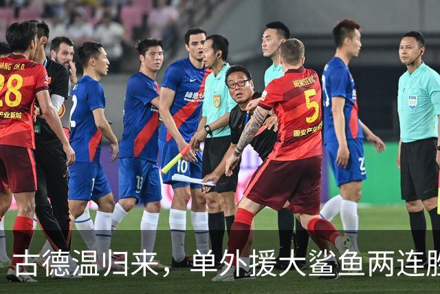 古德温归来，单外援大鲨鱼两连胜！