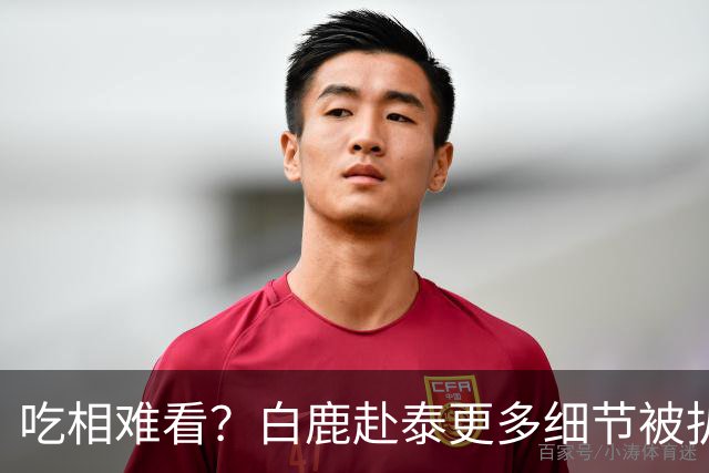 吃相难看？白鹿赴泰更多细节被扒，多人被牵连 难怪坚决不取消活
