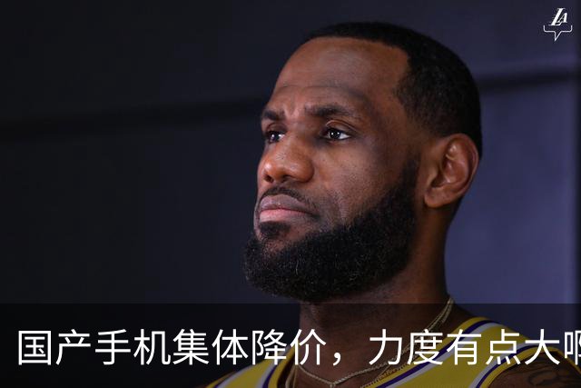国产手机集体降价，力度有点大啊！