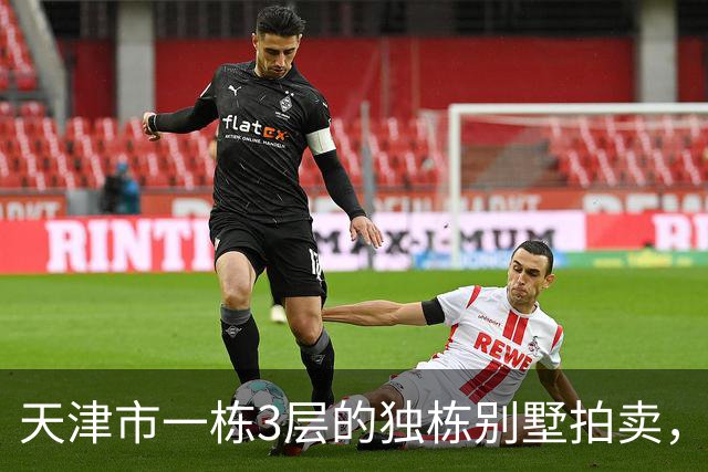 天津市一栋3层的独栋别墅拍卖，被人以191万元拿下