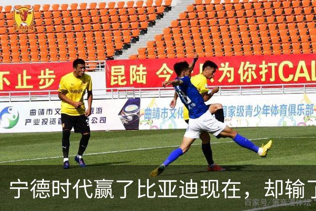 宁德时代赢了比亚迪现在，却输了未来？