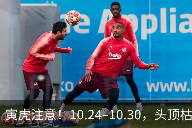 寅虎注意！10.24–10.30，头顶枯藤将断，有贵人伸手拉你一把