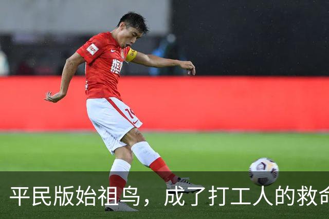 平民版始祖鸟，成了打工人的救命神装