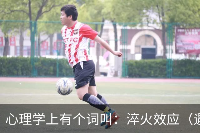 心理学上有个词叫：淬火效应（遇到一个强势的人，不要示弱，不要顺从，只需要记住 “淬火效应”）