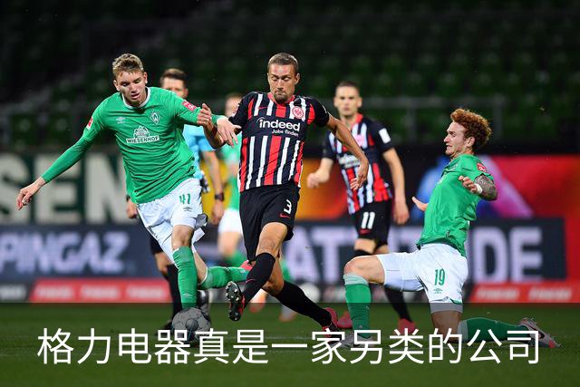 格力电器真是一家另类的公司
