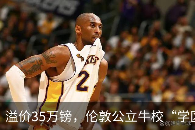 溢价35万镑，伦敦公立牛校“学区房”，狠狠打了中产的脸