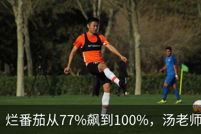 烂番茄从77%飙到100%，汤老师这部黑帮剧杀回来了