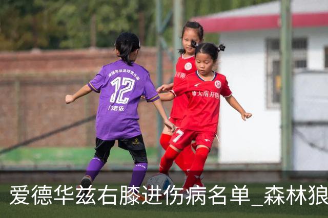 爱德华兹右膝进伤病名单 森林狼战骑士存变数