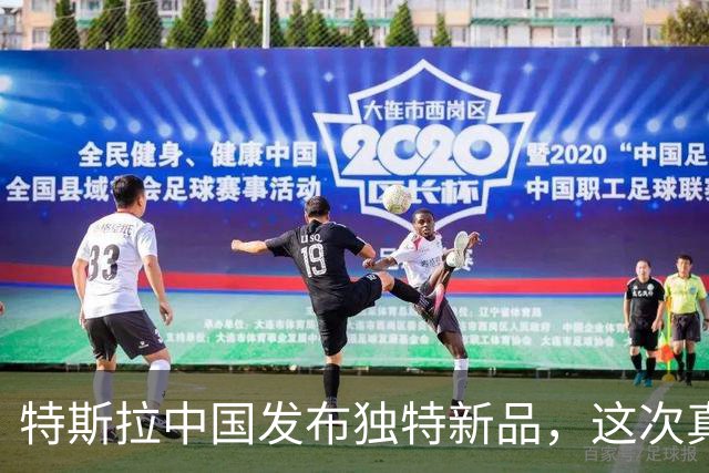 特斯拉中国发布独特新品，这次真买得起了！