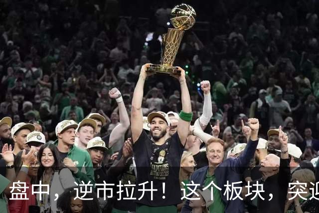 盘中，逆市拉升！这个板块，突迎利好