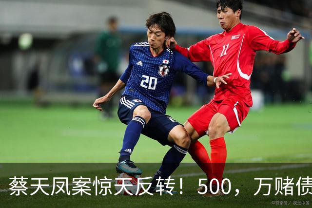 蔡天凤案惊天反转！500，万赌债加6份保险曝光，辩方套路彻底被拆穿