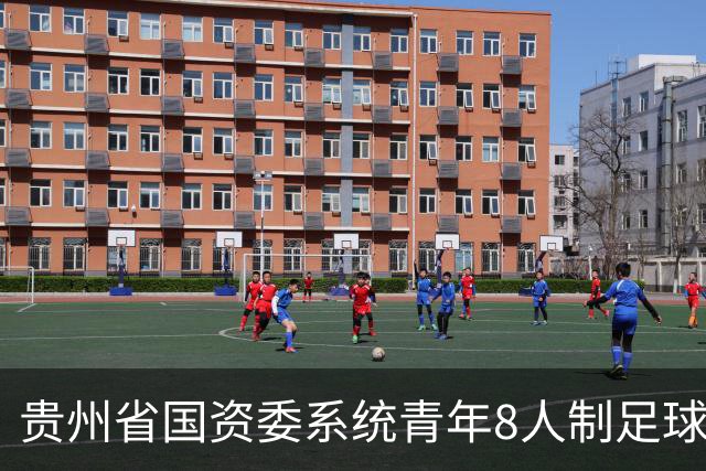 贵州省国资委系统青年8人制足球友谊赛开幕