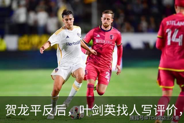 贺龙平反后，叶剑英找人写评价，廖汉生怒：我不沾边，后来如何