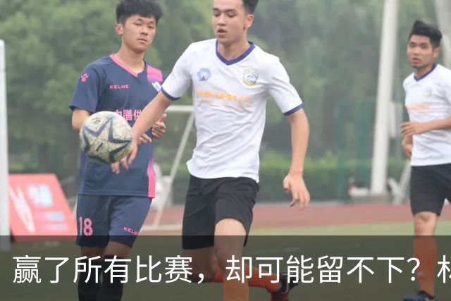 赢了所有比赛，却可能留不下？林诗栋被调侃去德国，饭圈才是推手