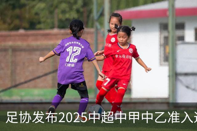 足协发布2025中超中甲中乙准入通知 11.25前提交材料