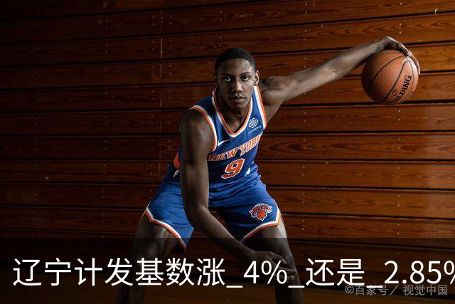 辽宁计发基数涨 4% 还是 2.85%，这笔账得看基金脸色