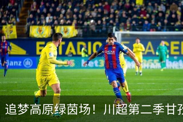 追梦高原绿茵场！川超第二季甘孜州选拔赛在康定收官