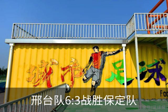 邢台队6:3战胜保定队