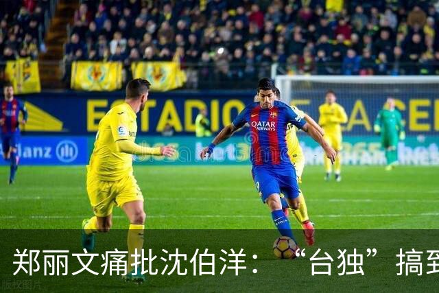 郑丽文痛批沈伯洋：“台独”搞到穷途末路，换成毒品的“毒”