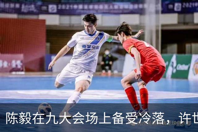 陈毅在九大会场上备受冷落，许世友：陈老总，我有礼物送给你