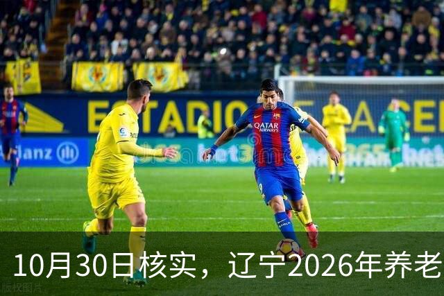 10月30日核实，辽宁2026年养老金调整通知，今天正式已发布了吗？