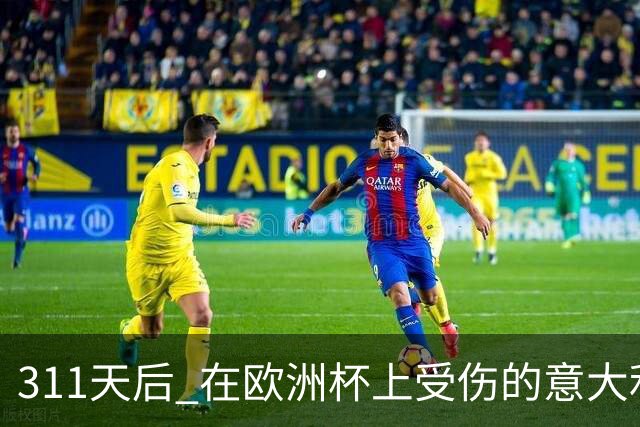 311天后 在欧洲杯上受伤的意大利国脚终于复出了